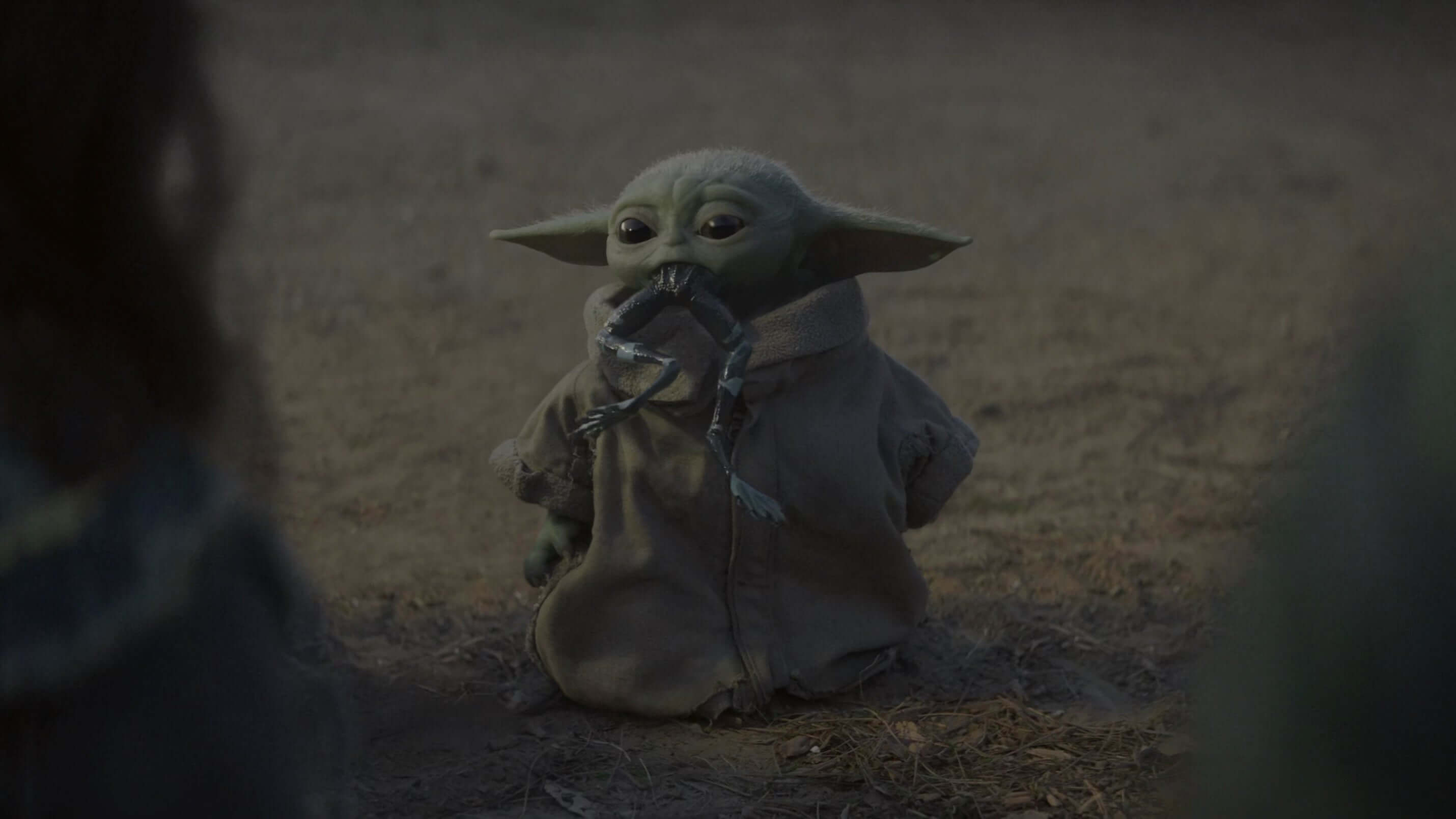 What Is Yoda’s Full Name? The Hidden Origins of the Wisest Jedi Master | NovaSaber™